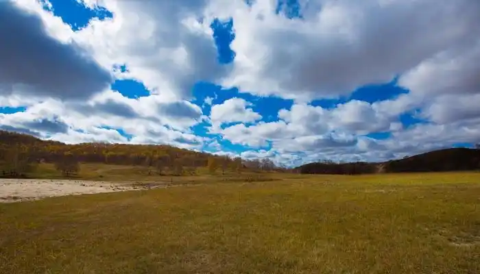 东北平原土壤酸碱度东北平原的土壤酸碱度是怎么样的