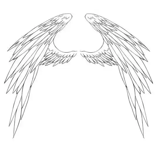 翅膀的画法 天使翅膀的画法
