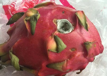 的迹象,就要把它们丢掉,因为发霉并非是洗洗或者太阳晾晒就可以去除的