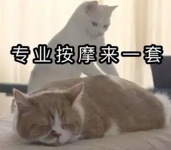 萌宠猫星人专业按摩来一套舒服呆萌可爱gif动图_动态图_表情包下载