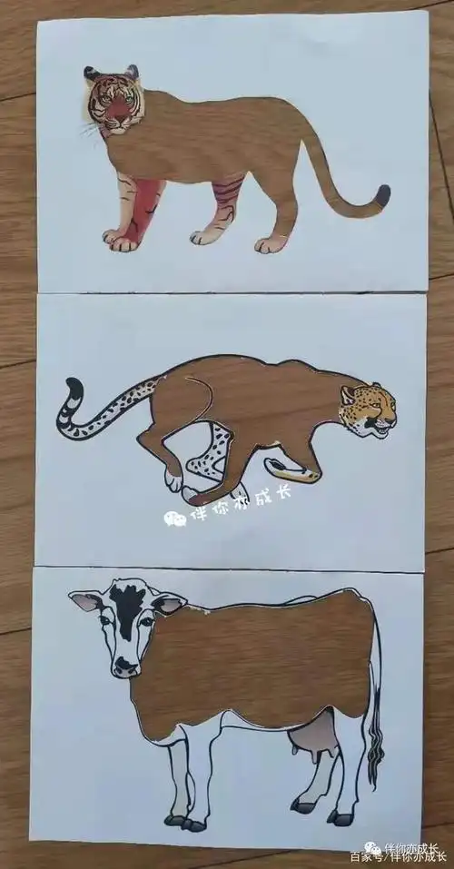 去完动物园,娃竟然认识动物皮肤了