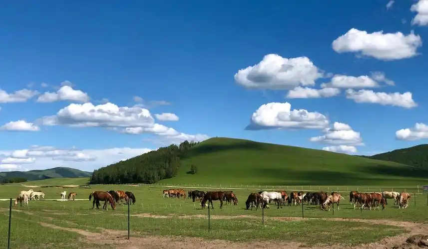 2019年6月到河北承德市和坝上草原旅游 - 美篇