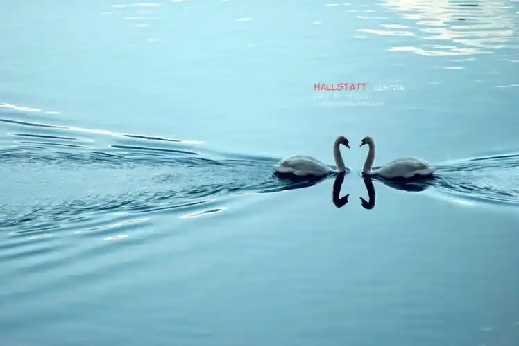 奥地利哈尔斯塔特,在最美小镇邂逅幸福