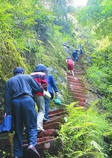 重庆爱情故事重庆爱情天梯故事