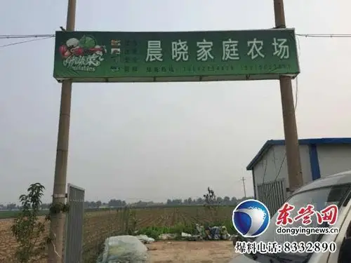 东营90后女大学生创办家庭农场200亩土地瓜豆双丰收