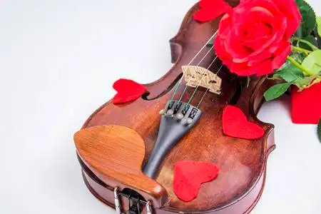 玫瑰和心花瓣覆盖的情人节小提琴照片
