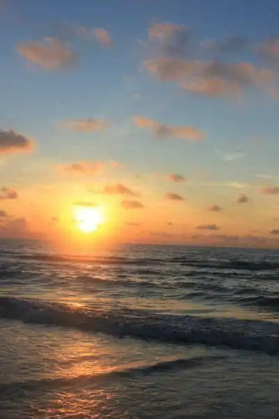 小太阳晨小晨小太阳2022已更新今日更新