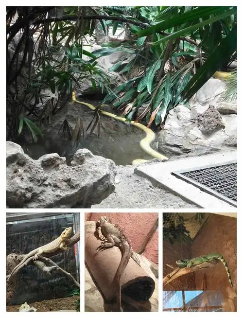 两栖爬行动物馆