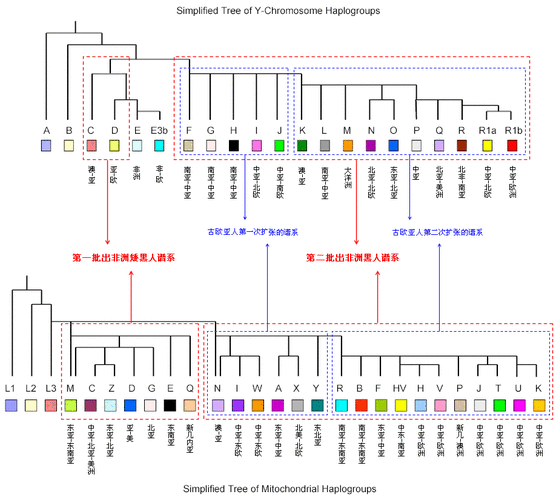 p>世界人种基因图谱是不同的人体内含有不同 a target="_blank" href