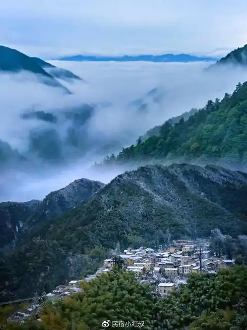 丽水松阳人均200就能住过云山居650海拔上看云海翻滚