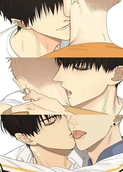 何以解忧 唯有贴贴00 贺红的.