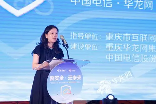 重庆华龙网集团股份有限公司总裁,总编辑李春燕介绍"重庆安全云"项目