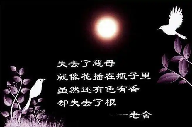 纪念母亲---写在妈妈去世一周年之时