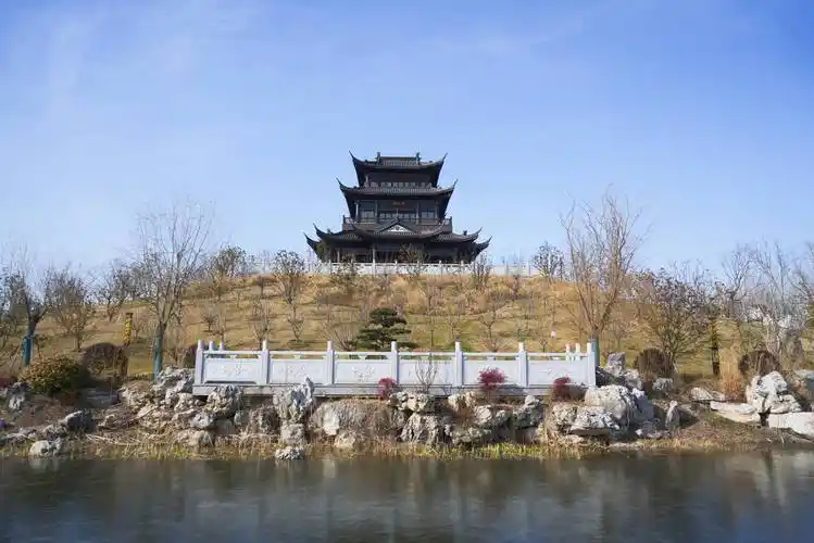 盐城龙冈桃花源,来赶桃源大集,沾寿星福气_景区_大道_梨园