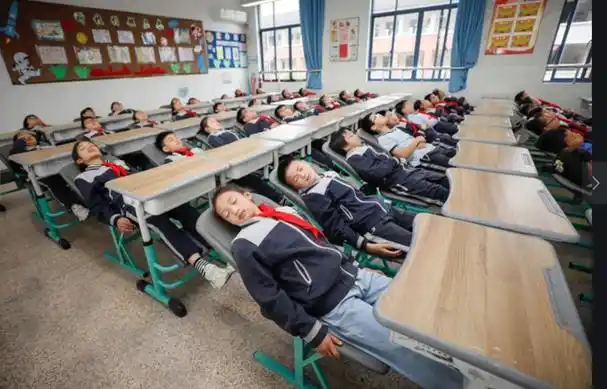 学生午睡场面走红网络,躺椅舒适十足,却被网友质疑摆拍?