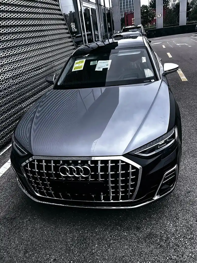 别等生活不再艰难才开始快乐.#奥迪a8 #霍希 - 抖音