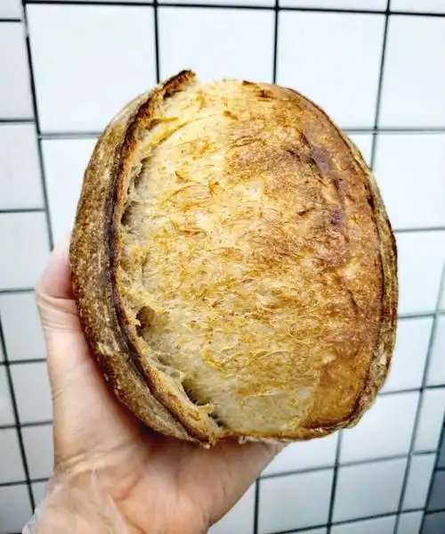 乡村面包sourdough