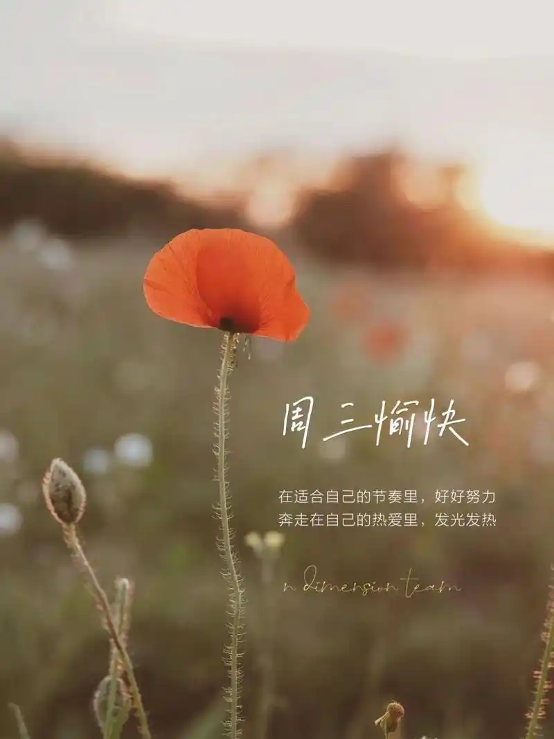 适合周三发圈的早安文案和图片 朋友圈素材 #浪漫生活的记录者# #笔记