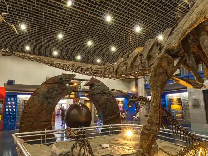 北京自然博物馆