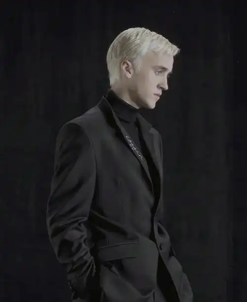 一百张是抖音的极限,不是我的极限#德拉科马尔福 #汤姆费尔顿 - 抖音