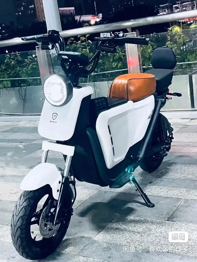 麦铃g30电动车 新国标车,可上白牌.1500w 电机    - 抖音