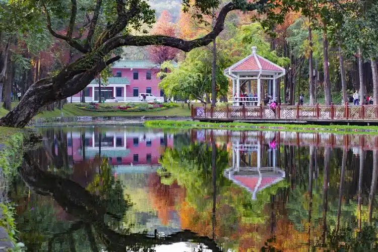 摄于广州越秀公园东秀湖,2019-01-26-163410