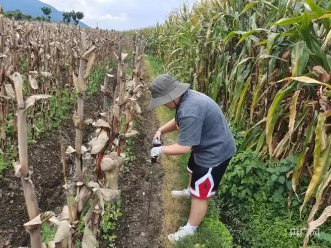 记嘱托识校训践青春自找苦吃在田间地头书写青春