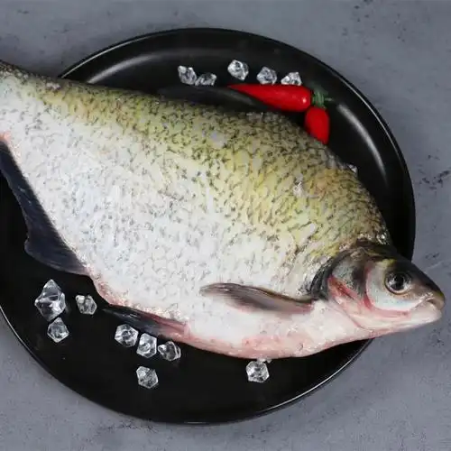 宠物鱼品种大全(中国十种常见的食用鱼) - 去钓鱼