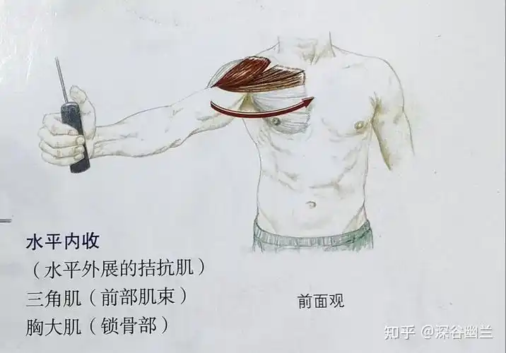 肩关节外展的调理