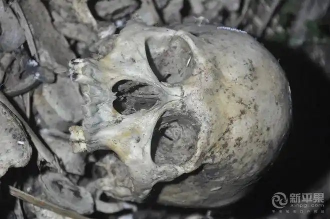 协查通告百色一地某后山上发现一具白骨化尸骸