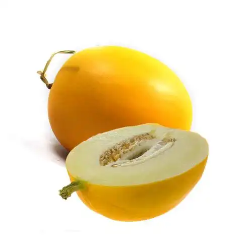 伊莉莎白(估重预定商品)