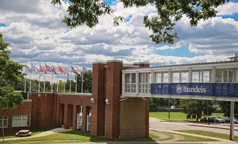 美国最年轻大学之一布兰迪斯大学对国际生友好它是top50中的绝佳保底