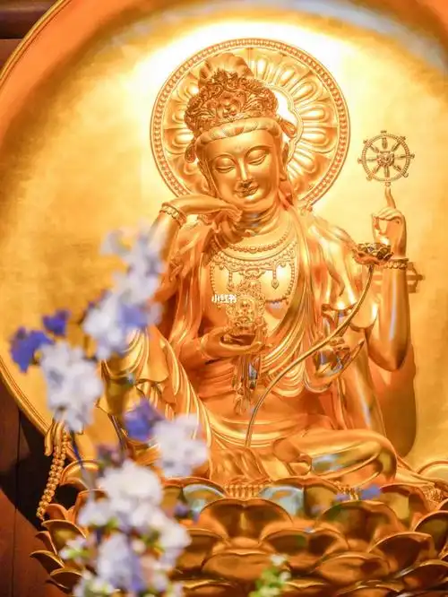 上海一定要去玉佛寺,除了瞻礼镇寺之宝玉佛和龙藏,玉佛寺里的众多观音