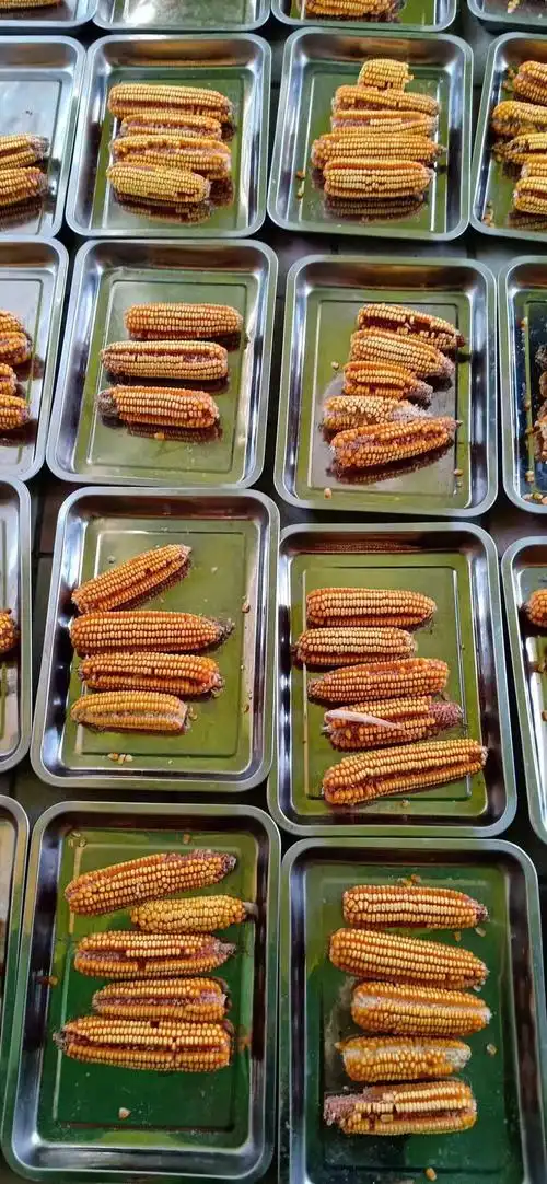 东苑艺术幼儿园【学会感恩,与爱同行】感恩节月主题活动第三周"爱的