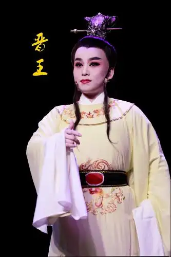 莲之恋(熊莲芬的戏曲人生)