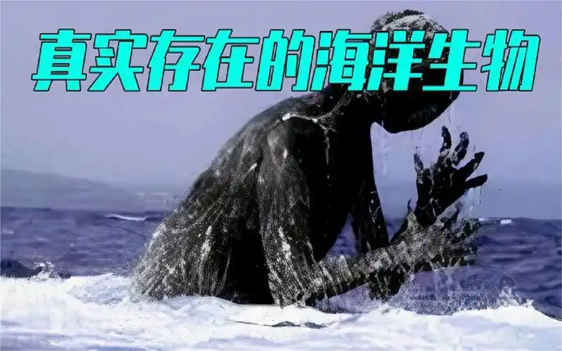 5个真实存在的海洋生物,如果不是被相机拍到,真的不敢相信