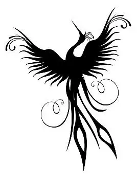 雉鸟,囚禁,皇家,雉,雄性,雌性红色,剪影,矢量,插画云,健身,凤凰,鸟