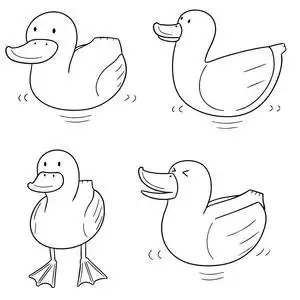 矢量插画向量集的鸭素描的鸭分离站鸭子在水里的剪影饲养场鸟无缝模式