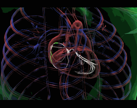 小南话科普冬天心脏最怕冻送你一份心脏过冬秘籍