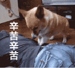 你辛苦了真人聊天动态表情图