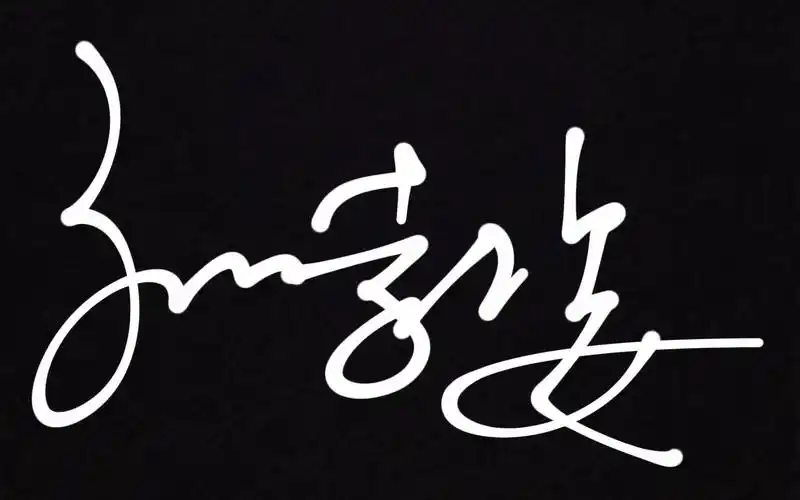 艺术签名设计第13期你想象不到的孙字写法