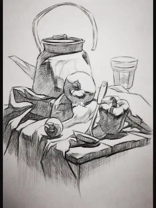 素描静物大关系起形