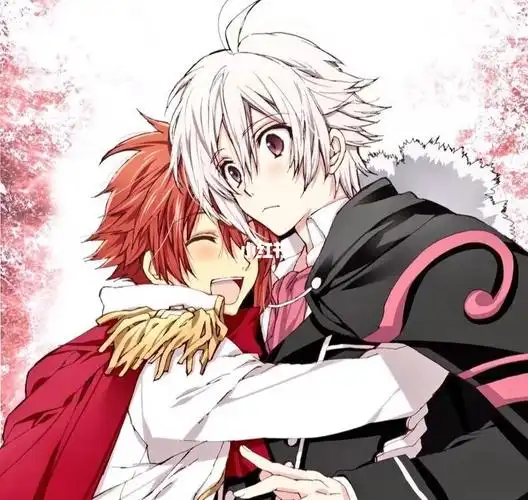 偶像星愿82天陆双子