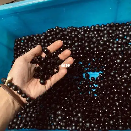 05后文玩无患子散籽出还有一千多颗