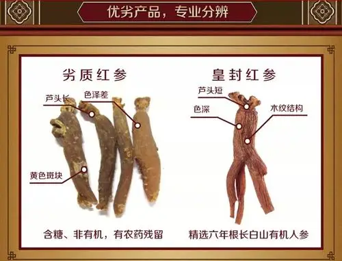 【皇封参】 长白山人参 有机 无糖 黄皮一等25支 红人.