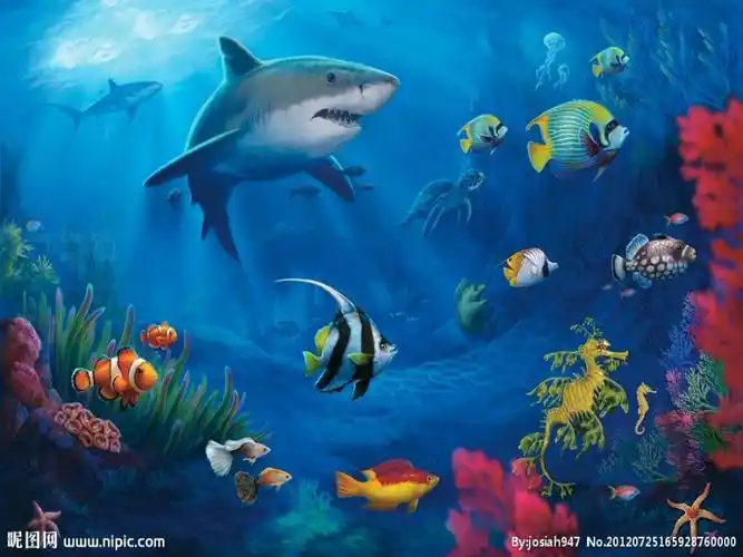 海底世界课件ppt