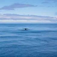 蓝天大海头像图片大全