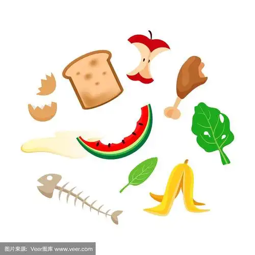 有机食品,垃圾,食品,绘画插图,水果