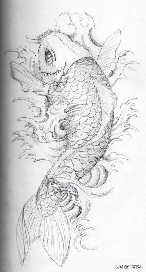 一波线描锦鲤来袭祝看见的你好运连连