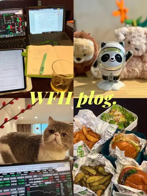 plog居家第21天61享受最后的外卖狂欢